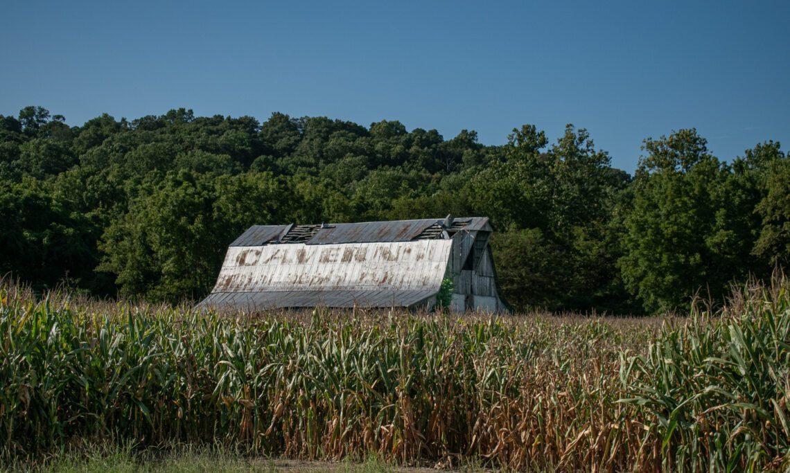 Old barn beside a cornfield photographed in Illinois on the drive home after seeing Union Pacific Big Boy 4014