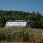 I Went for the Train Old barn beside a cornfield photographed in Illinois on the drive home after seeing Union Pacific Big Boy 4014